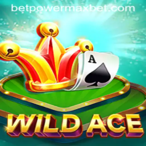WildAce: Revamping Casino Gaming with PowerMaxBet